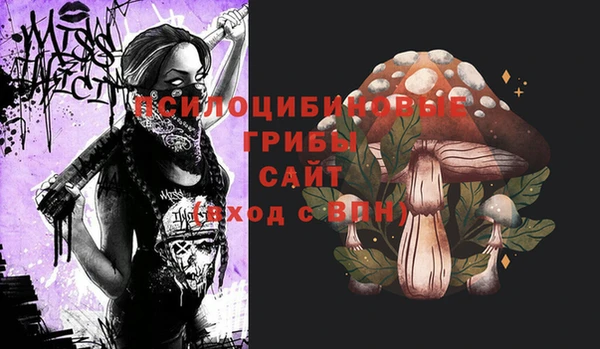 mix Арсеньев