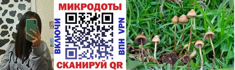 Купить где  Пестово  Галлюциногенные грибы ЛСД 